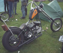 Bild Hd11