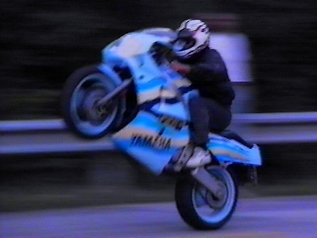 Dobes_Wheelie
