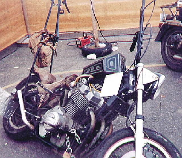 Rat6