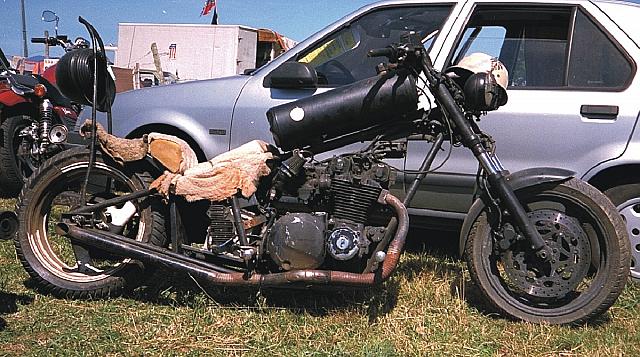 Rat_1