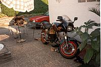 GPZ_900_kleines_Service